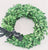 Topiary Wreath - Preserved Topiary Plant