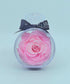 Perfume Bottle - Preserved Flowers