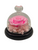 Dome Single Mini Roses Preserved