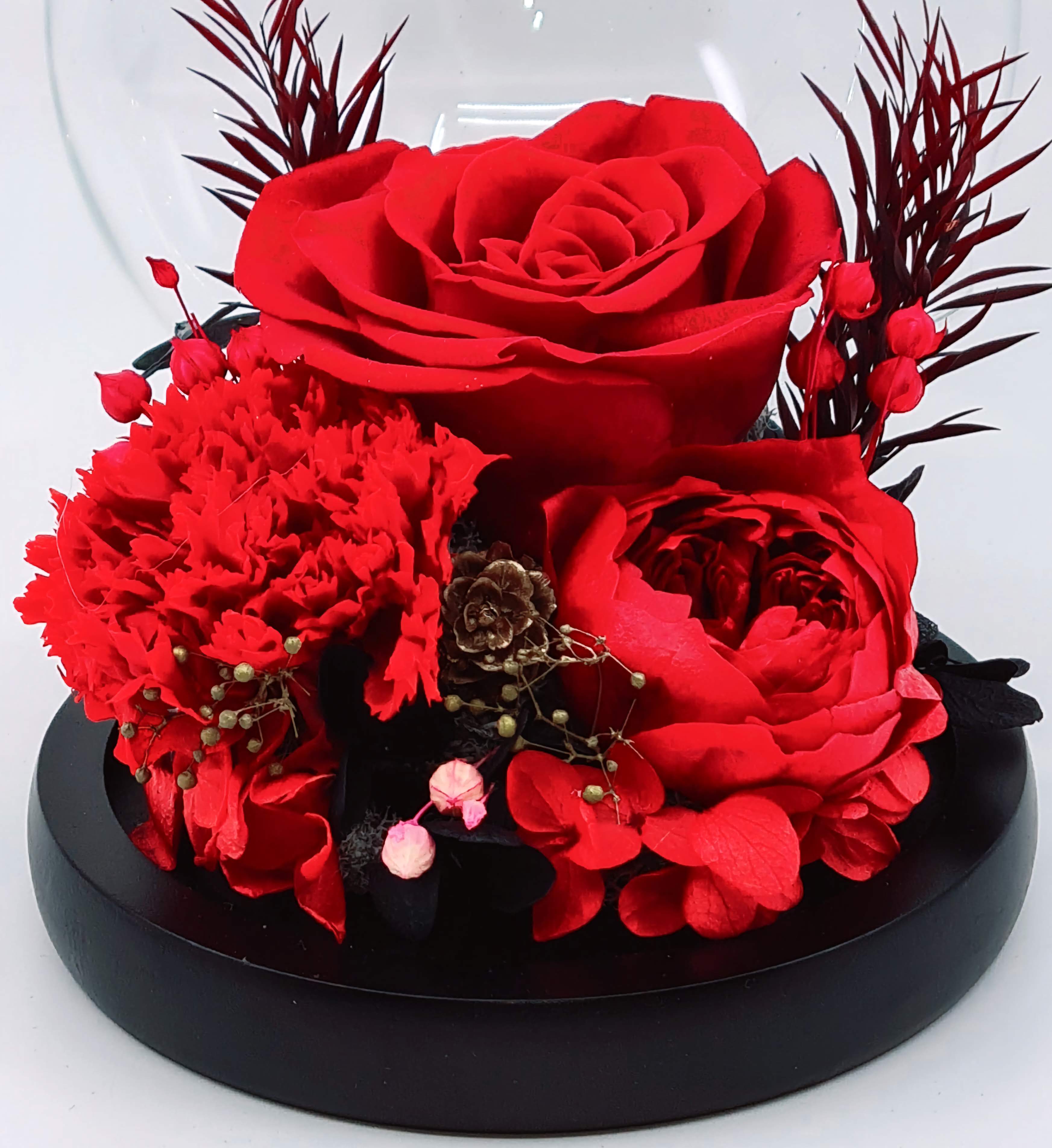 preserved lily flower Dome of Preserved Flowers – My Lily Street