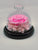 Dome Single Mini Roses Preserved