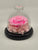 Dome Single Mini Roses Preserved