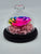 Dome Single Mini Roses Preserved