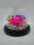 Dome Single Mini Roses Preserved