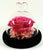 Dome Single Mini Roses Preserved