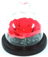 Dome Single Mini Roses Preserved